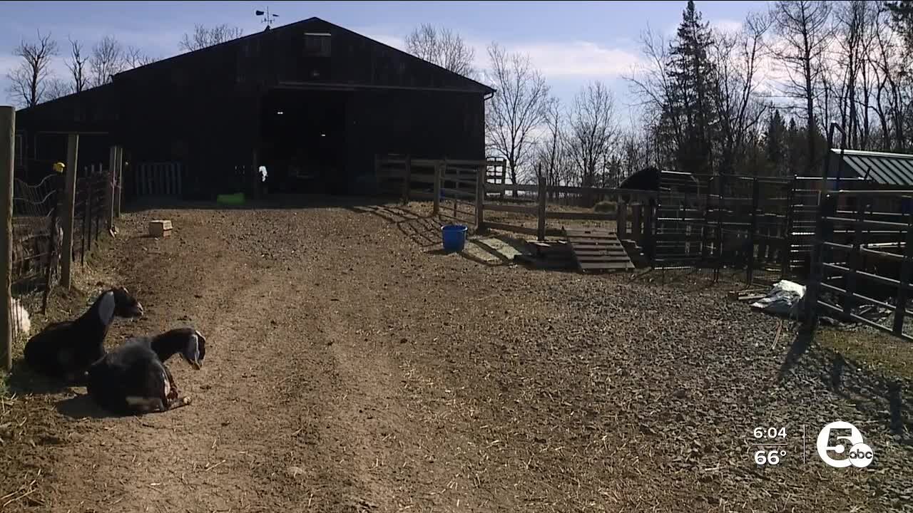 East Palestine residents have drinking water concerns; say pets are their proof