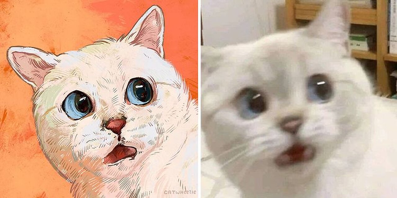 CAT IN REAL LIFE, Kitten My Favorite Cat, SICK CAT!