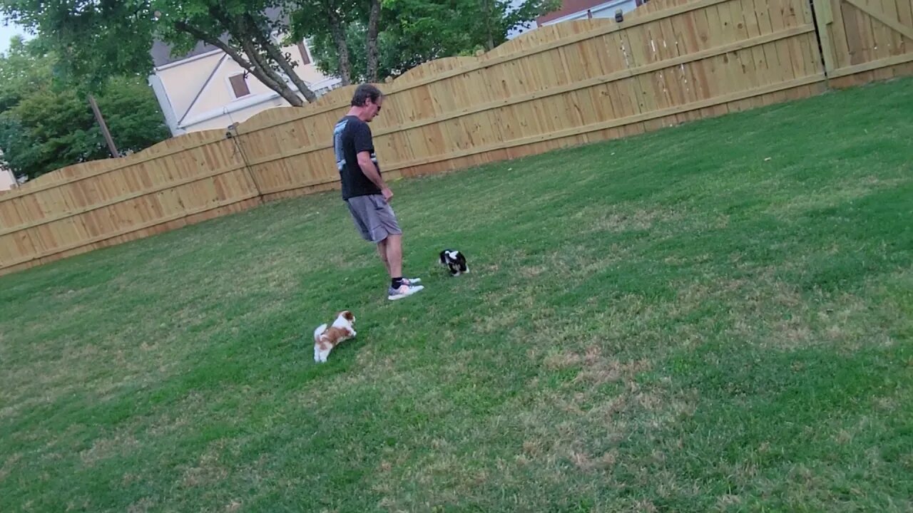 & Then There Were 2 🥺(4)