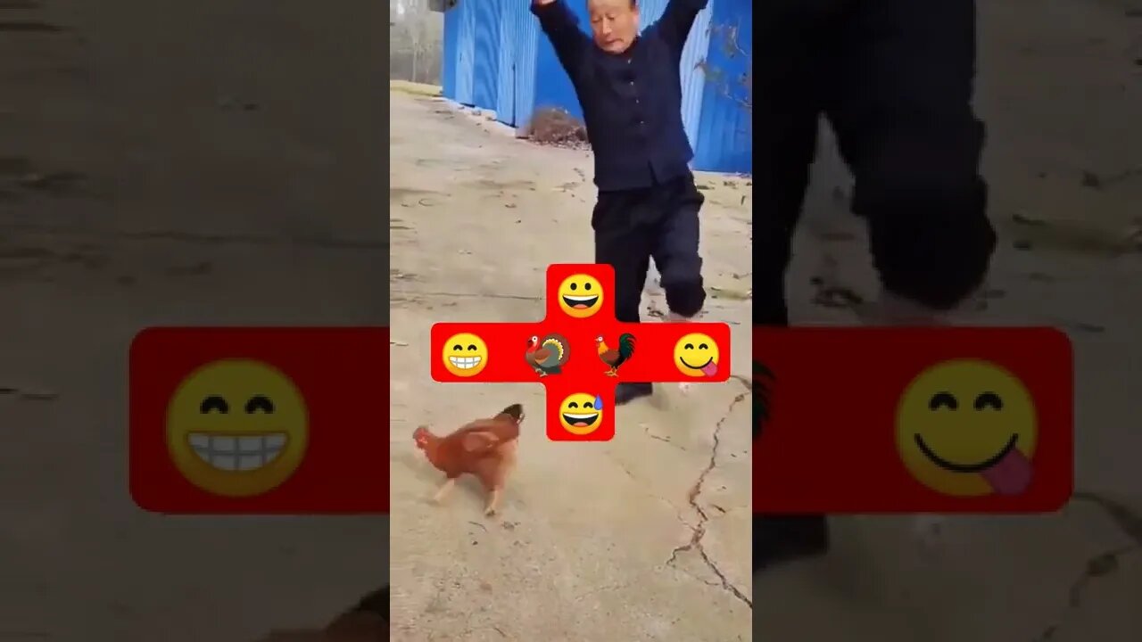 Birds having fun #funnybirds #funny #shorts