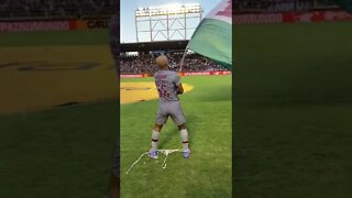 Felipe Melo bandeirando Fluminense campeão da Taça Guanabara 2022