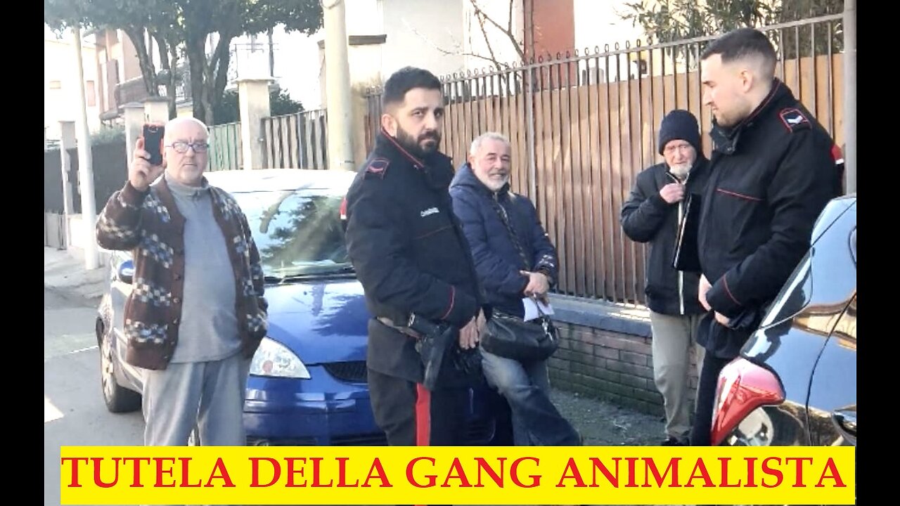 STALKING DI GRUPPO - STANDARD MAFIOSO di CANEGRATE (fruttivendolo e Roberto)