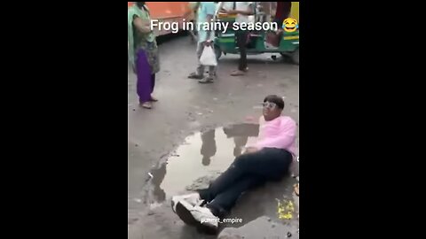 😄😄😄Meanwhile Frog in Rainy Season Meme 😄😄😄😄😄😄😄