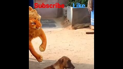 Fake Lion Prank Dog So Funny Can Not Stop Laugh Must Watch New Funny Prank Video 2023#funny#trending