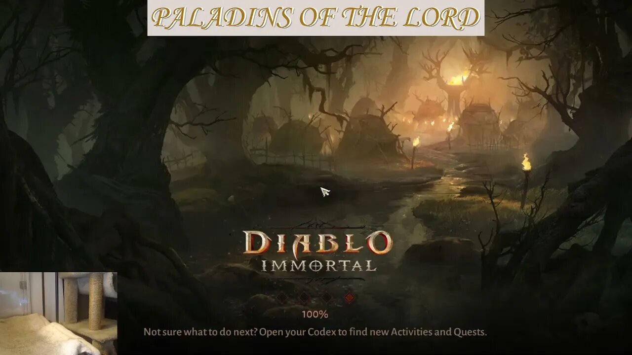 Diablo Immortal - 28