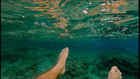 Hawaii: Pillbox Hike and Swimming With Fish