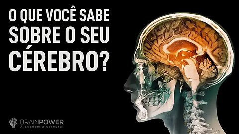 M01A01 - R3PR0GR4M3 53U C3R3BR0 3.0 (BR41N P0W3R)