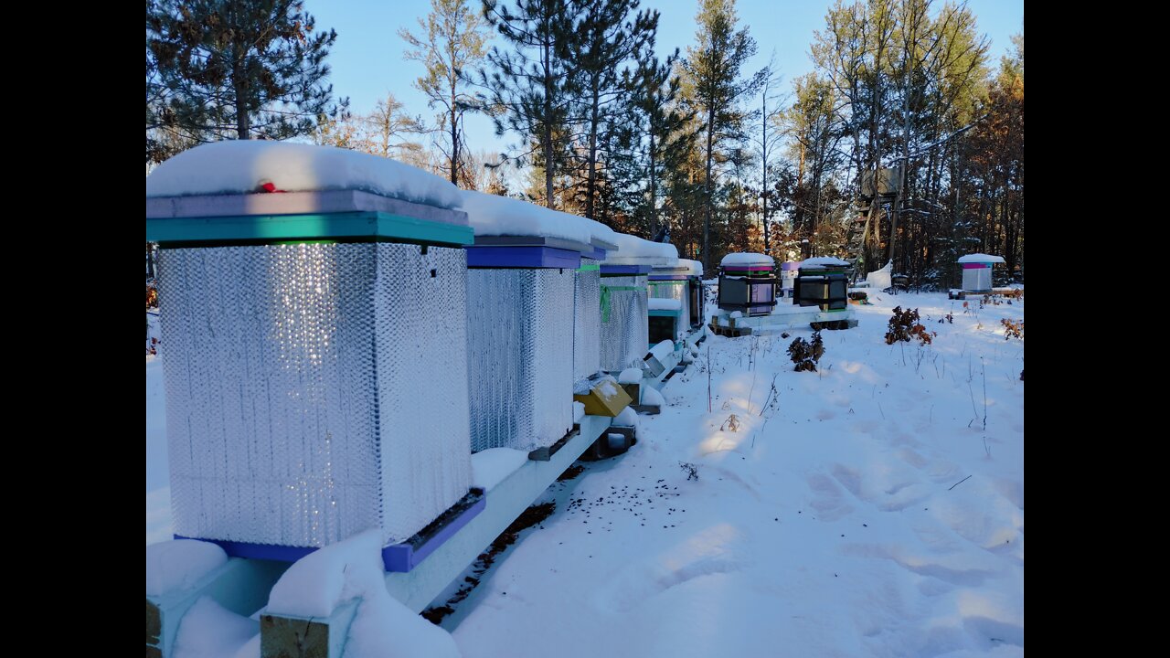 Apiary Update: In the home stretch!