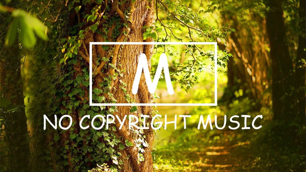 Jorm - Signature（Mm No Copyright Music）