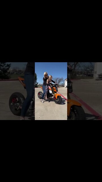 funny|prank|jokes|funny jokes|dad jokes|funny memes|funny video|fun|laughing|funny animal|knock