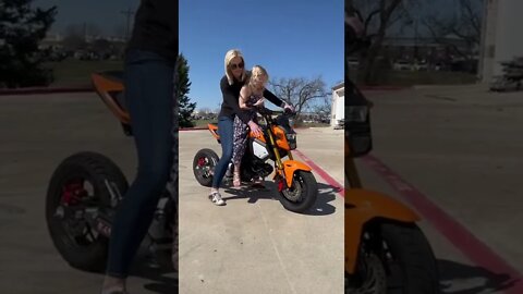 funny|prank|jokes|funny jokes|dad jokes|funny memes|funny video|fun|laughing|funny animal|knock