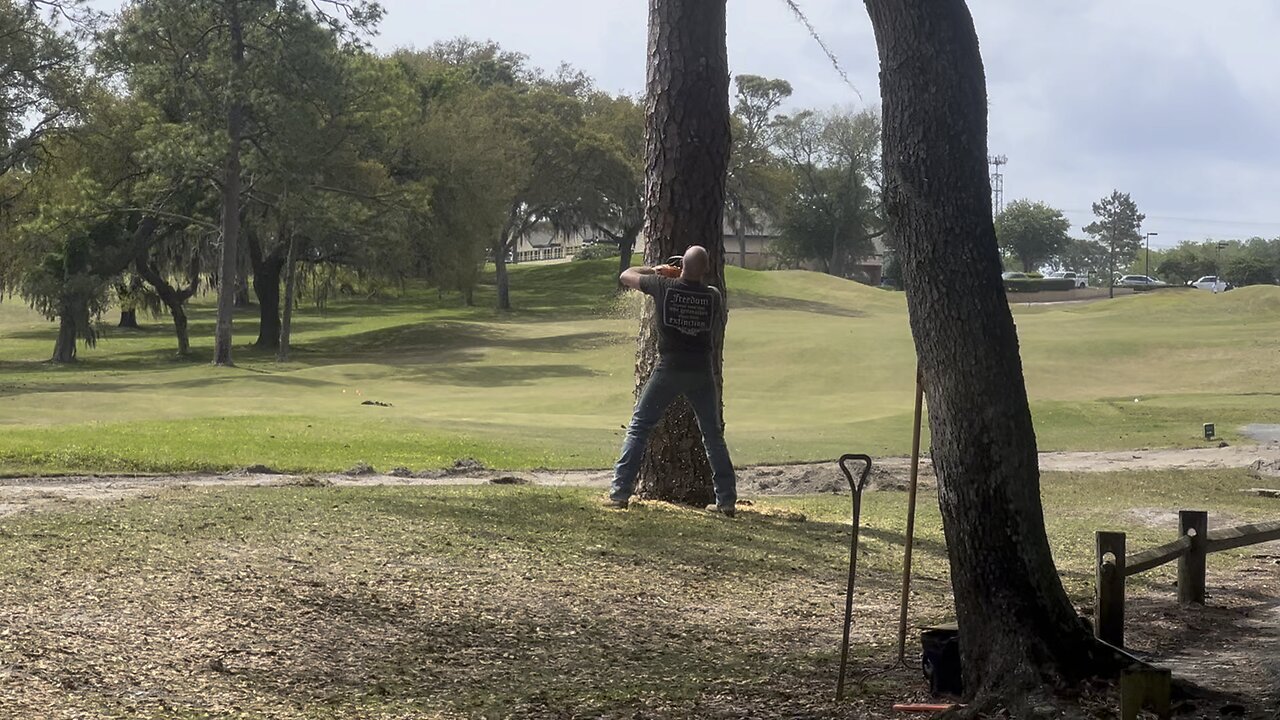 Tree Falls The Wrong Way