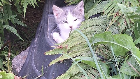 Wednesday afternoon!