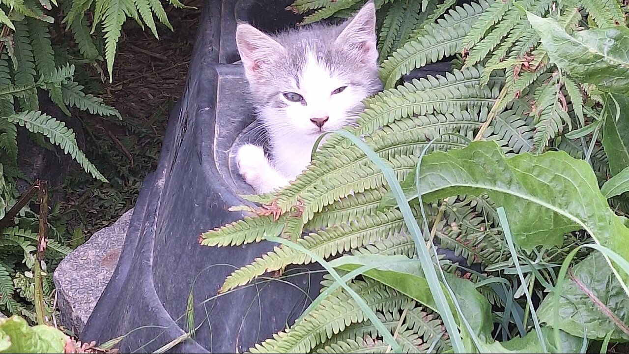 Wednesday afternoon!