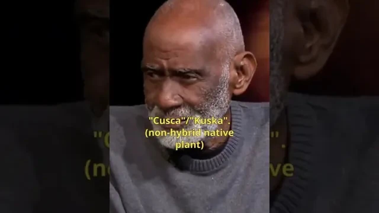 GLUCOSE-AKA-STARCH FREE NATIVE FOODS - 2 Mayan Examples [Dr. Sebi] #Short