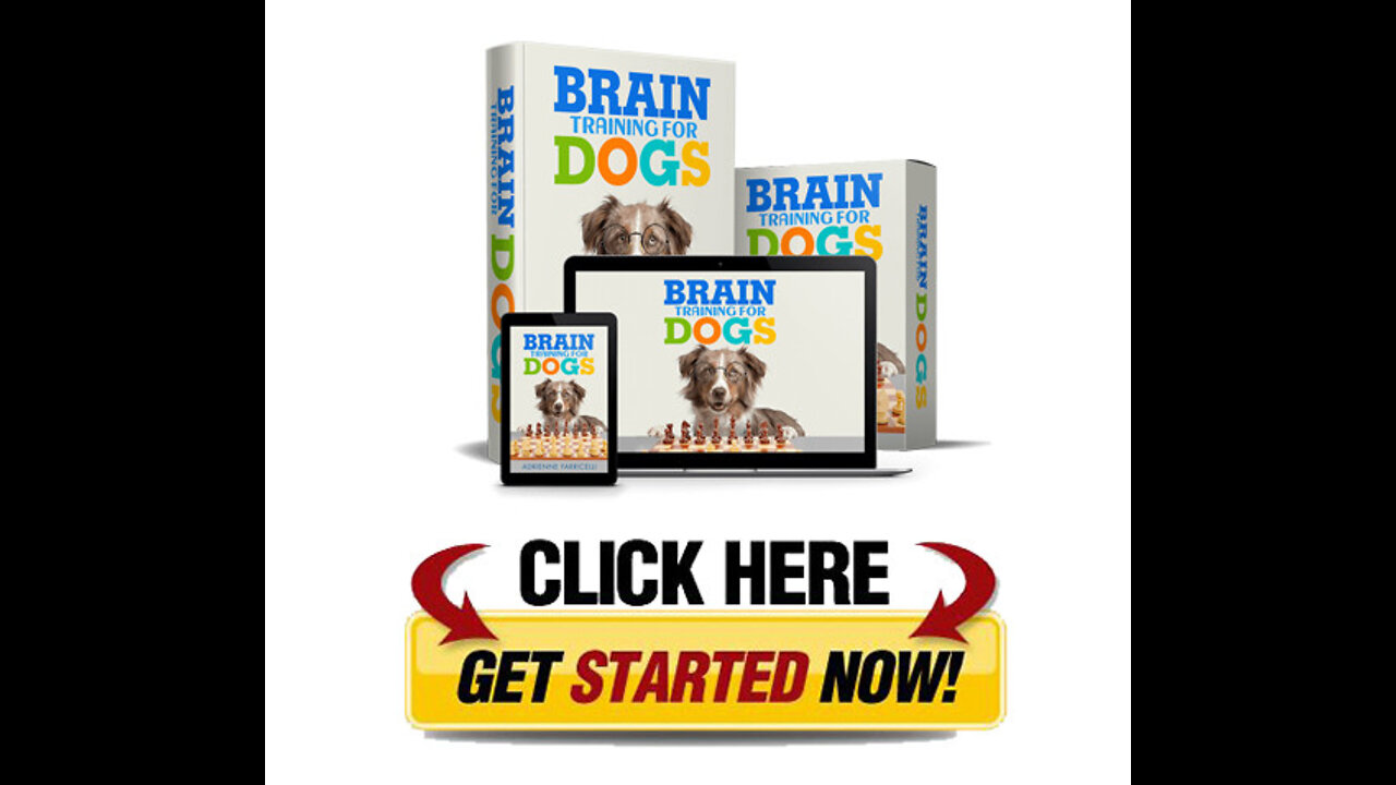 Brain Training For Dogs: Turn Your Dog Into the obedient, well-behaved pet of your dream!!