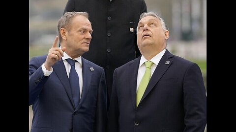 Obroża anglosaska zamiast braci. Polska przeliczyła się w ocenie swoich ...