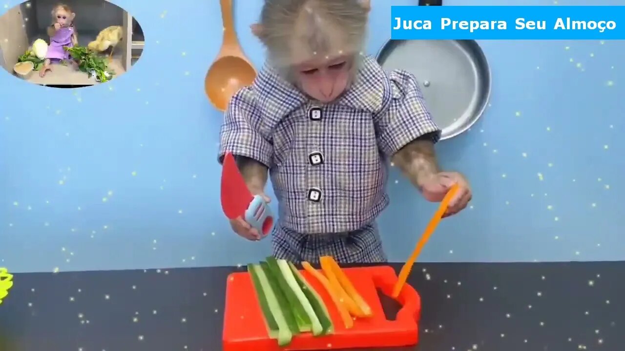 I do not believe !!! Juca Preparing His Lunch, Very Beautiful, Gracious, see what he does!