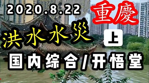 2020 8 22国内综合上/开悟堂