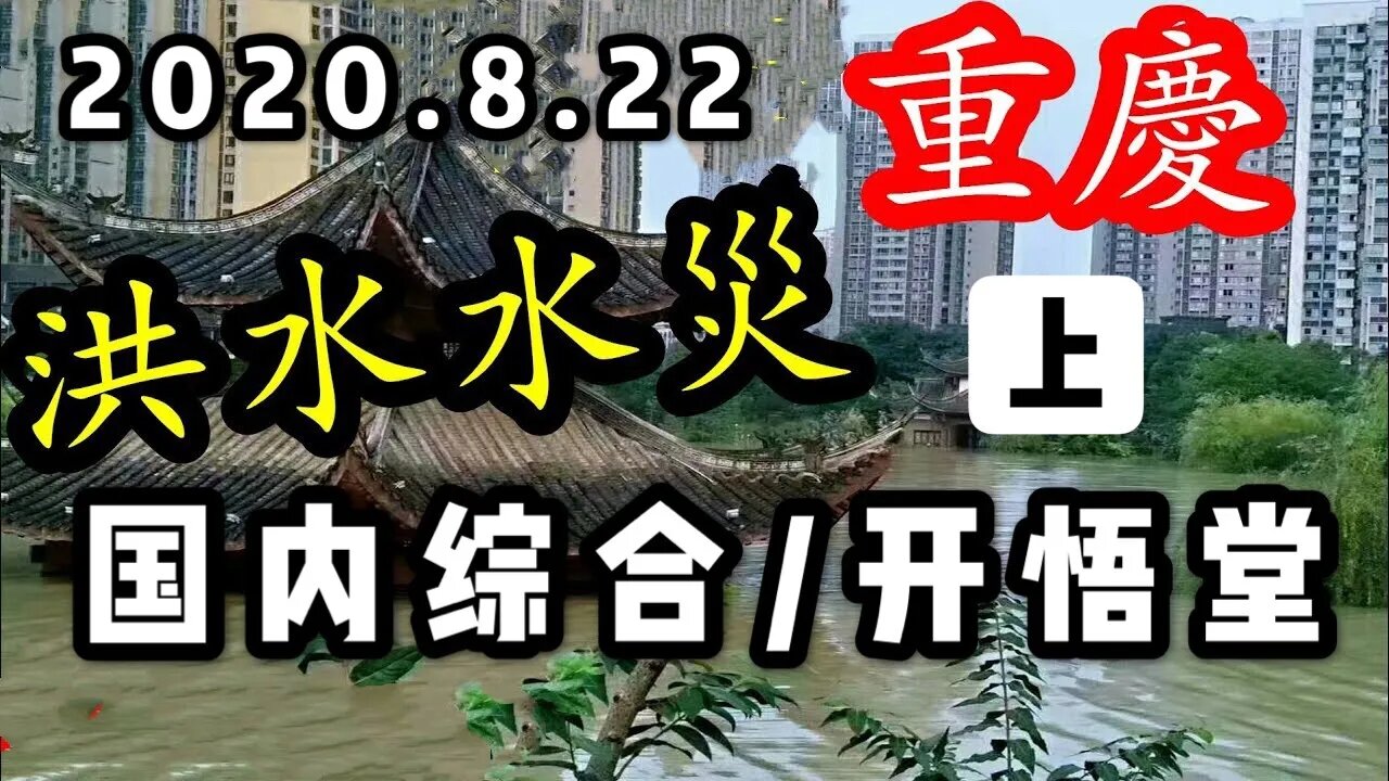 2020 8 22国内综合上/开悟堂