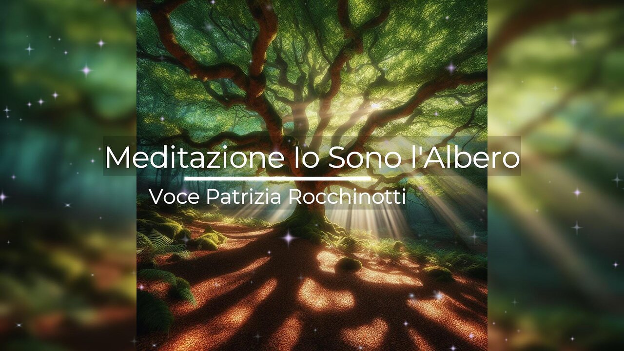 Meditazione "Il dono magico del tuo prezioso albero"