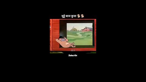 सट्टेबाज कुत्ता #short #rumble