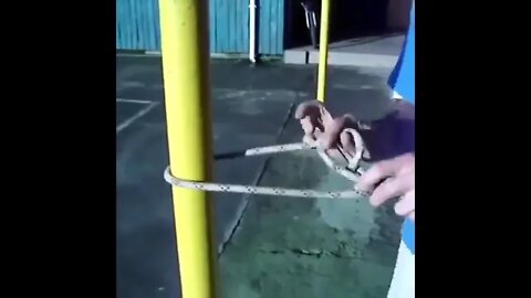 Как cильнo натянуть вepёвку