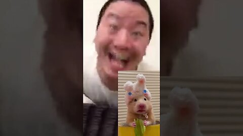 Junya1gou funny video 😂😂😂翻