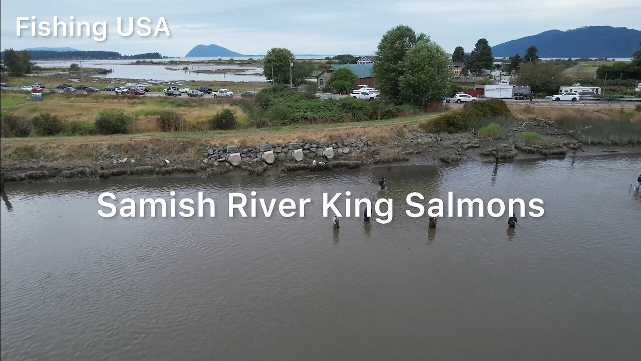 How to catch king salmon on Samish river?