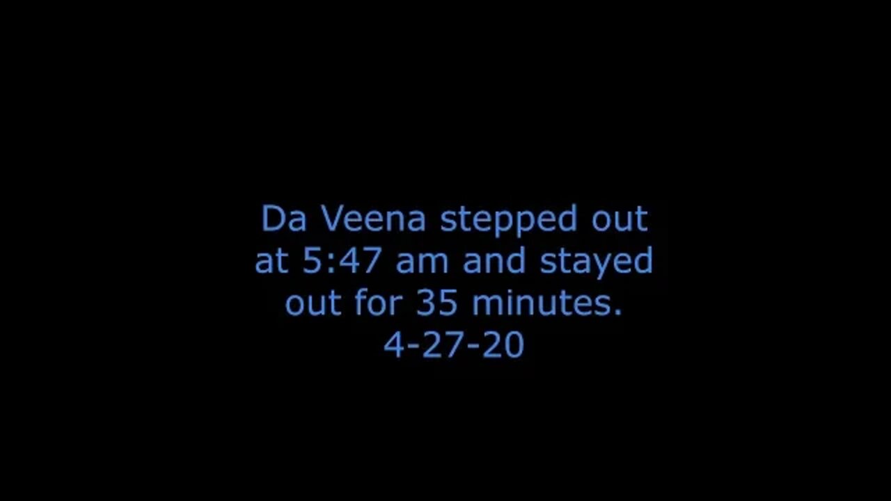 DaVeena stepped out at 5:47 am and stayed out for 35 minutes.4-27-20
