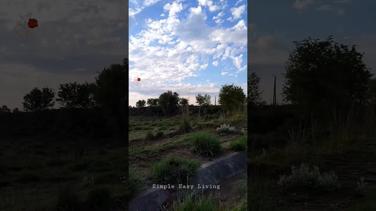 Sky,Clouds,Beautiful weather after Rain Beautiful Pakistan #weather #nature #pakistan