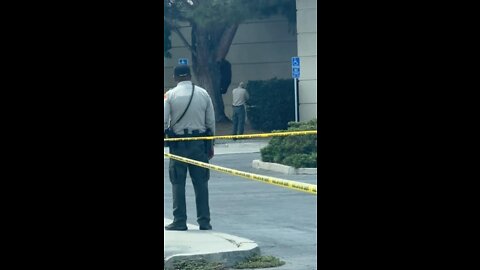 Bear cub visits parking lot of Lake Isabella store