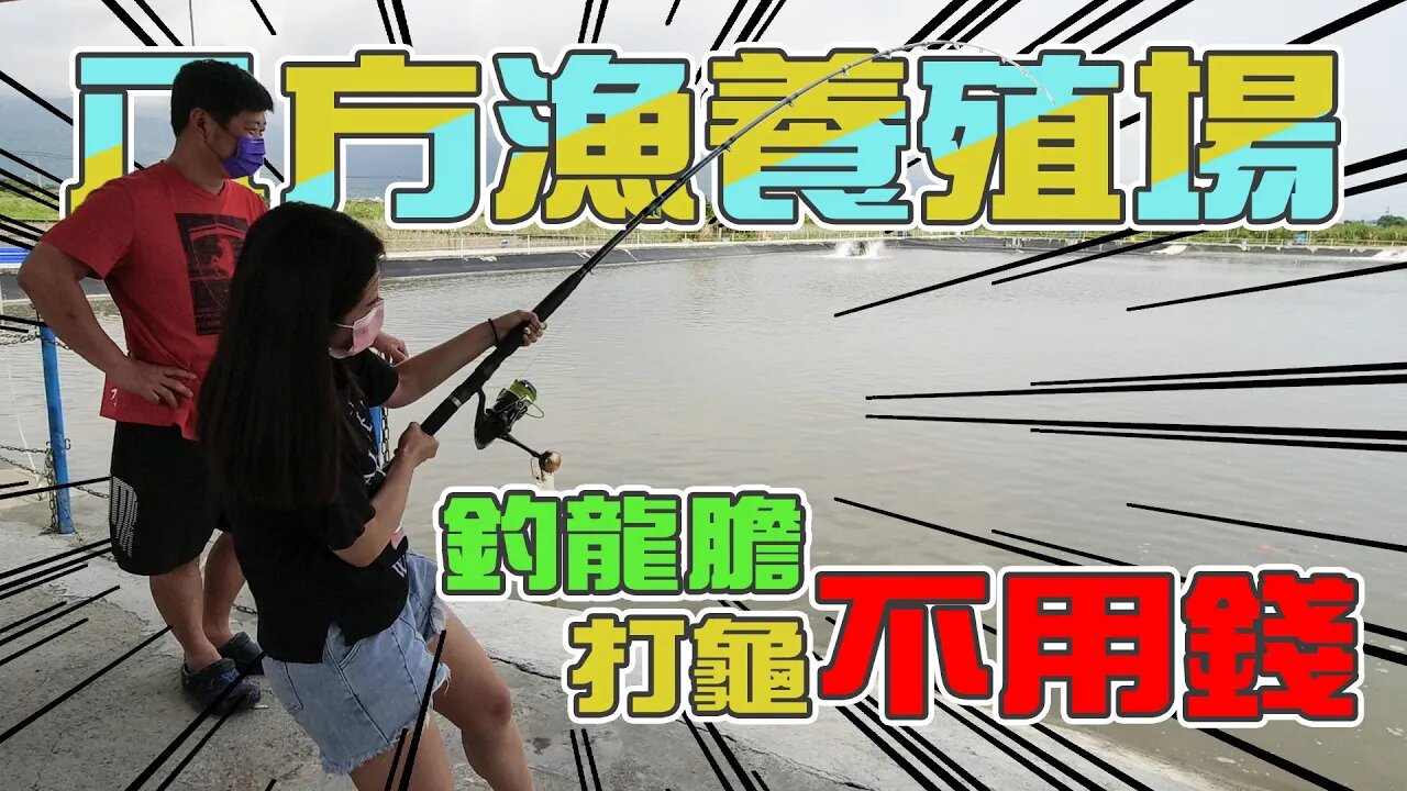【台客去釣魚】釣龍膽打龜保證就免費的釣場？除了釣魚還可以吸收滿滿的無毒生態養殖知識！ feat.八方漁無毒生態養殖場