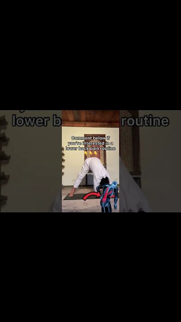 Can a 20 minute routine fix back pain??