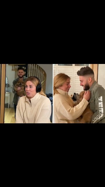 A Surprise Puppy Gift Gets The Purest Reaction Ever