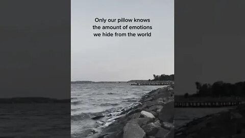 Quotes Of The Day|| Daily Life quotes|| Great Quotes for you.. #shorts Number-(4)