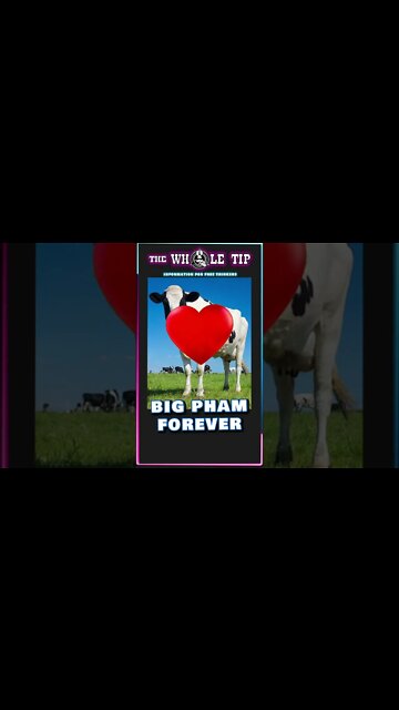 BIG FAM FOREVER - the Whole Tip Daily #shorts censored version #shorts