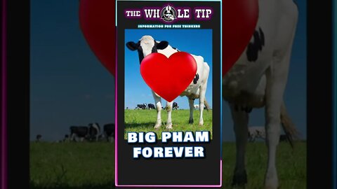 BIG FAM FOREVER - the Whole Tip Daily #shorts censored version #shorts