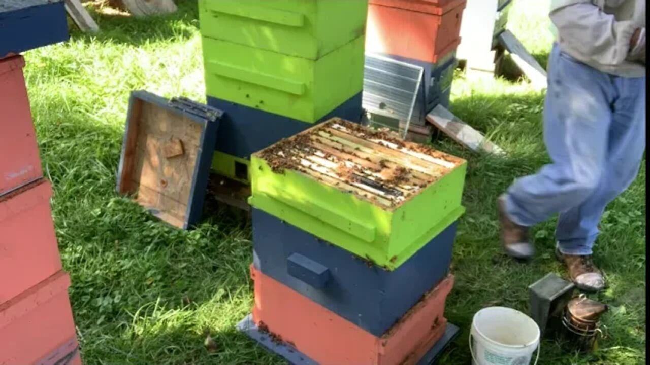 August 22, 2020 - CHECKING SUPERS ON THE 2/13 COMBO