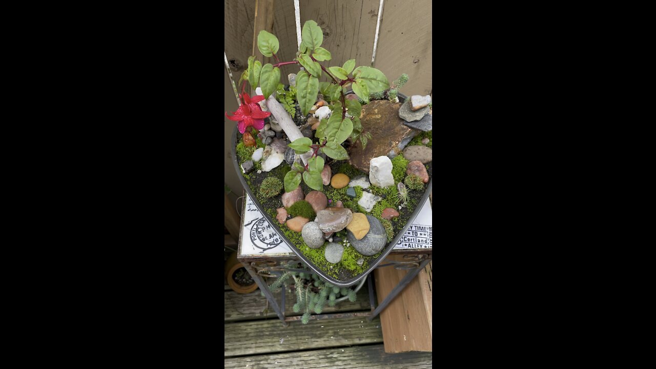 My First Mini Garden