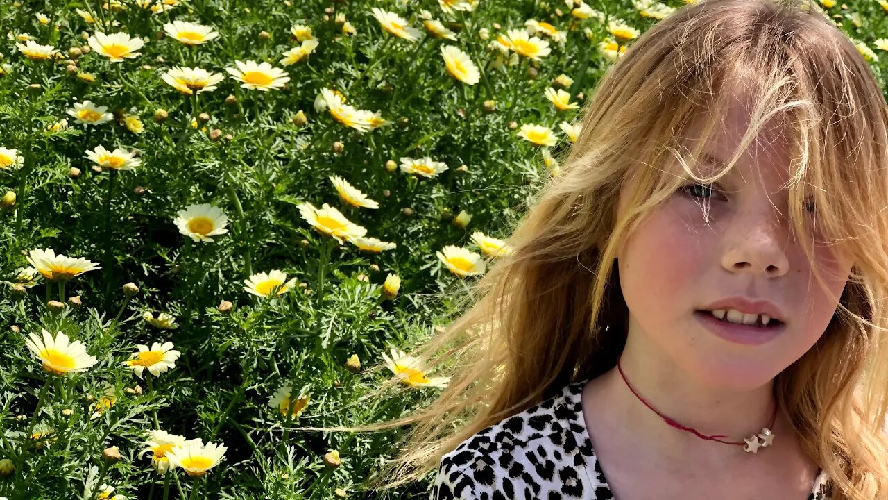 Under The Sun ☀️ DIIV 🎥🎵