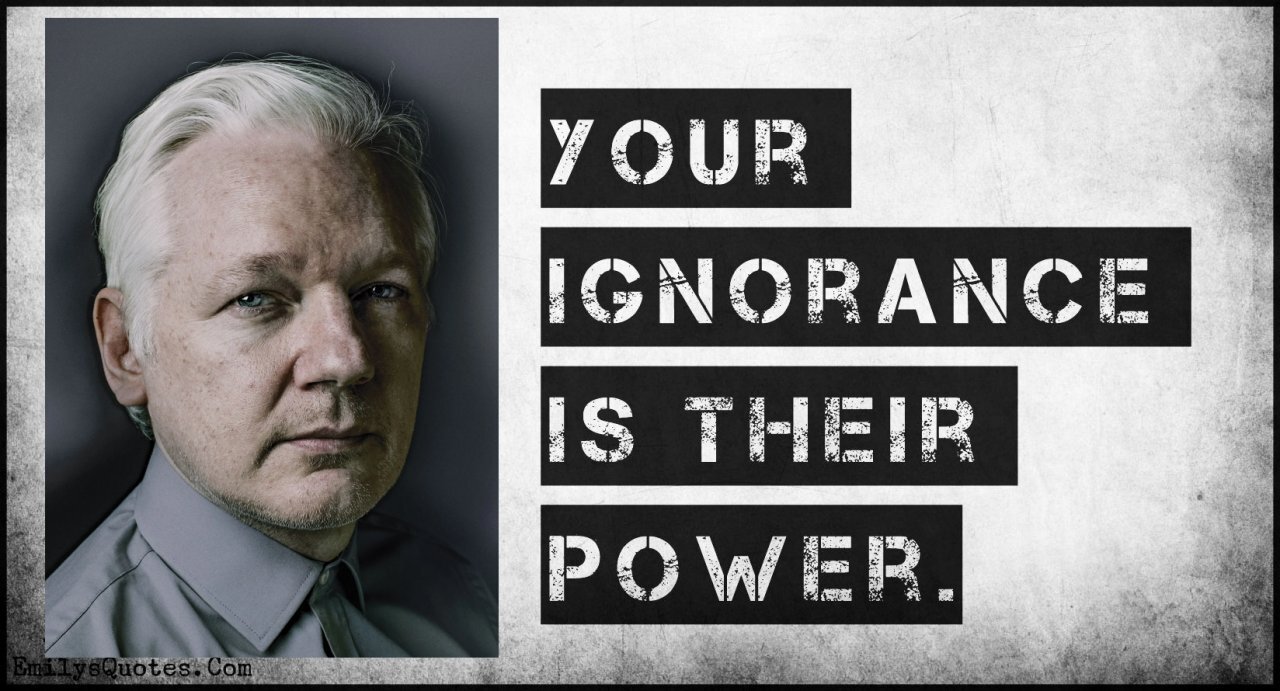 The Controlled Opposition Psyop Traitor Julian Assange Wikileaks Exposed!