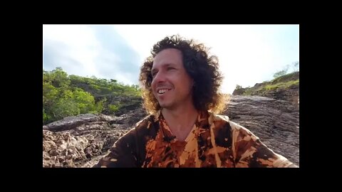 The Character In the Novel Is You (Video Journal)