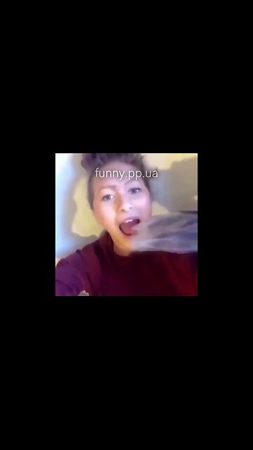 Funny video compilation 14 / best jokes with people and animals