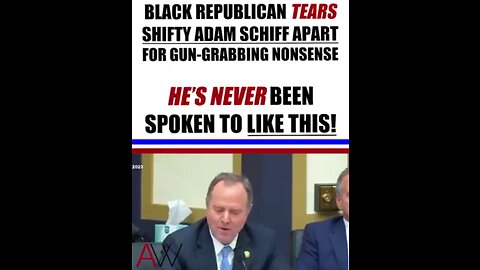 BLACK REPUBLICAN TEARS SHIFTY ADAM SCHIFF APART FOR GUN-GRABBING NONSENSE