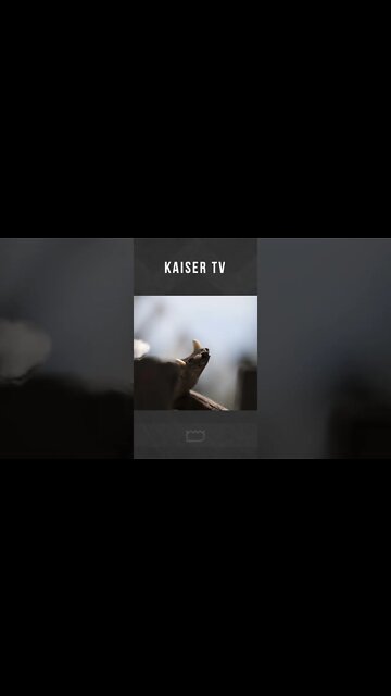 Wie arbeitet eigentlich eine Schamanin?