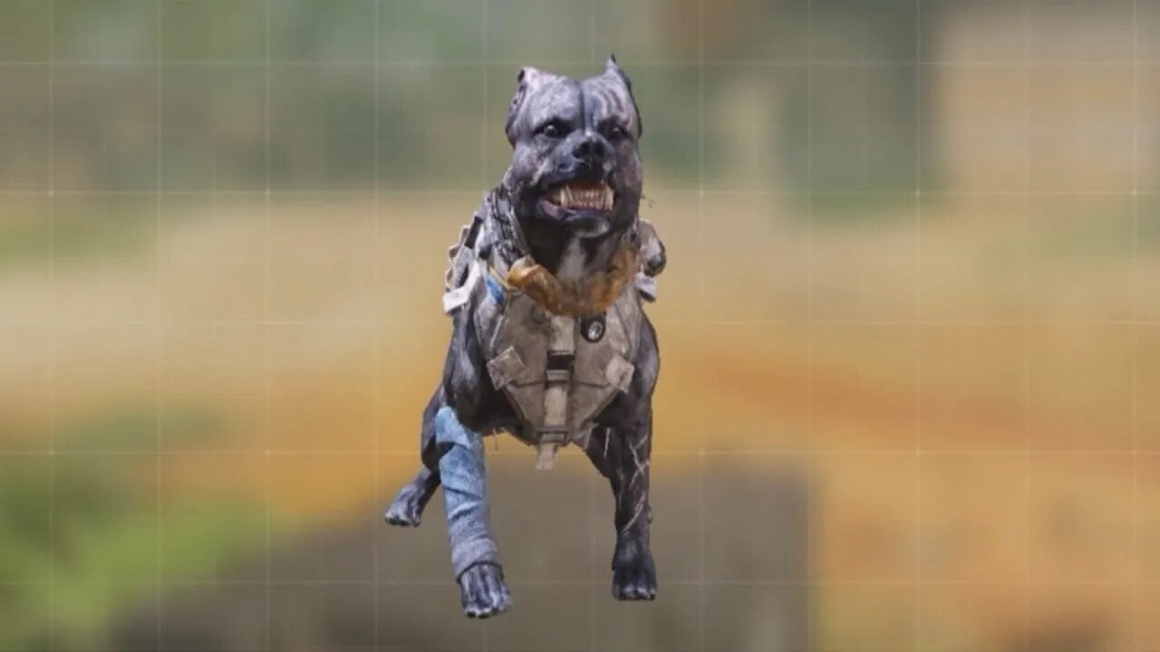 Annoying dogs | call of duty mobile | sazzad | Gameplay | #shorts