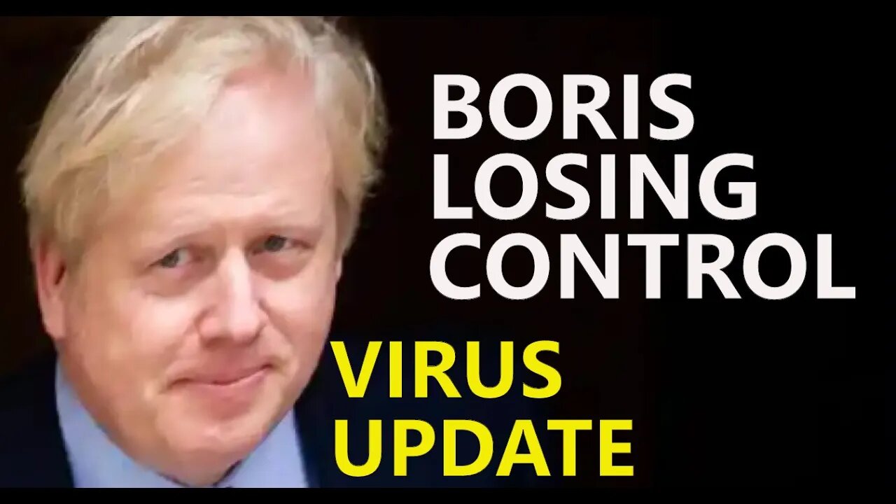 BORIS VIRUS