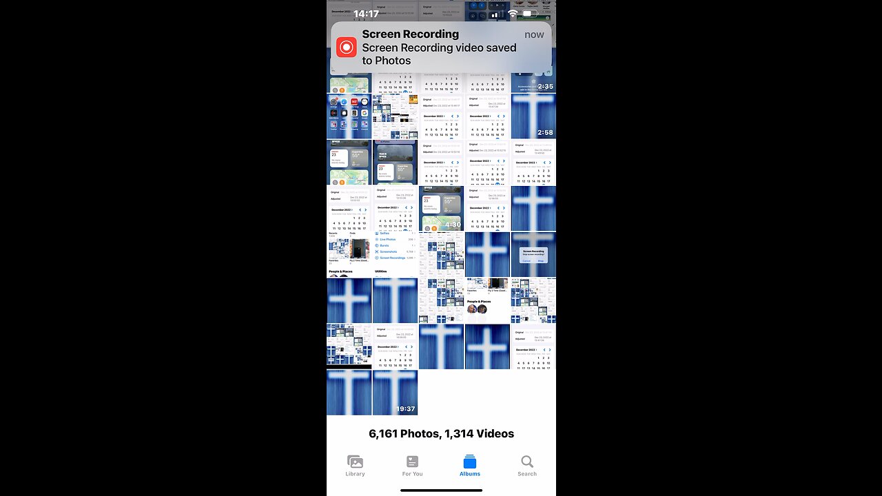 ❤️“Fun-Fun-Fun”❤️