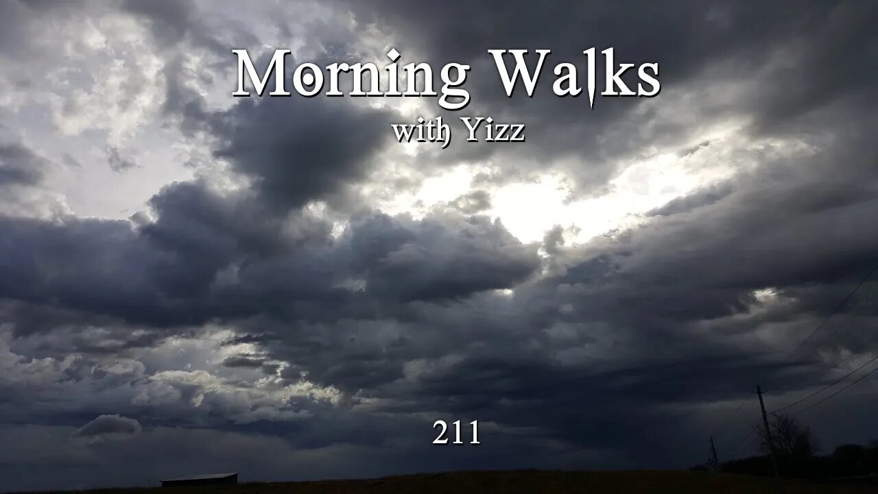 Morning Walks with Yizz 211